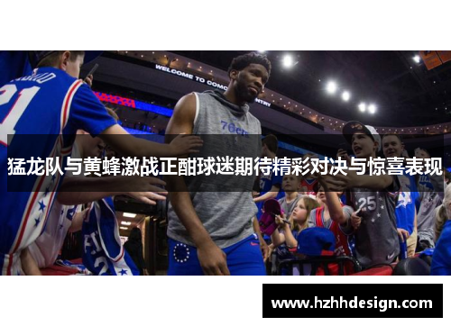 猛龙队与黄蜂激战正酣球迷期待精彩对决与惊喜表现